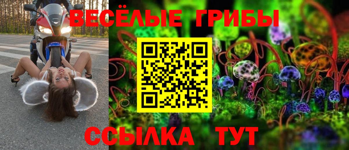 Псилоцибиновые грибы MAGIC MUSHROOMS  Вход с VPN  Заинск 
